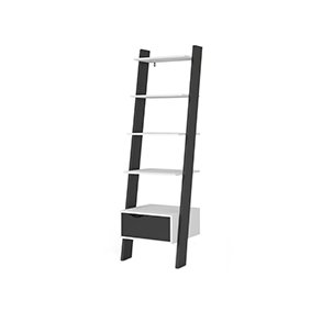 Ladder shelf