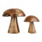 Sille grzyby dekoracyjne zestaw z 2 naturą.