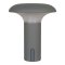 Ramsey utendrs lampe LED oppladbar gr, matt.