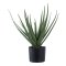 Aloe Vera Kunstbaum Hhe 51cm grn.