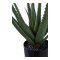 Aloe Vera Kunstbaum Hhe 51cm grn.