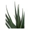 Aloe Vera Kunstbaum Hhe 51cm grn.