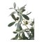 Oliventr kunst tr hjde 61cm grn.