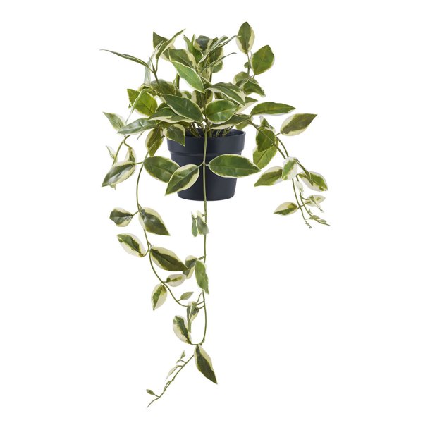 Voksblomst kunst tre hyde 33 cm grnn.