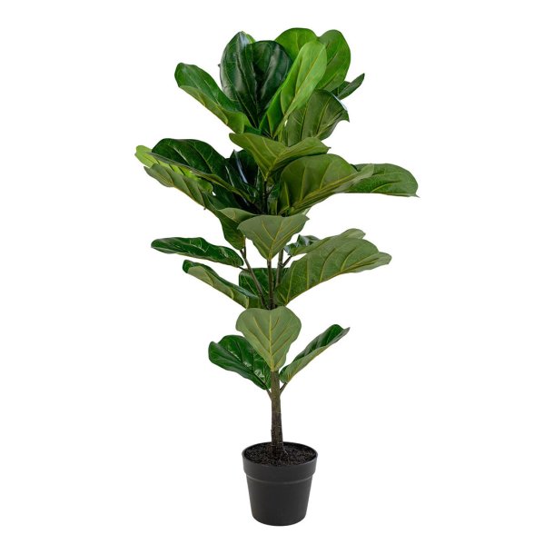 Violinfigen kunstig plante H100 cm grn.