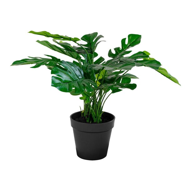 Monstera kunstig plante H45 cm grn.
