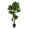 Violinfigen Konstplanta Hjd 190 cm grn.