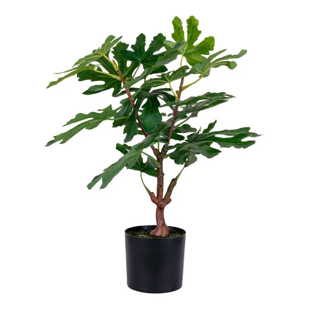 Figentr Knstliche Pflanze H60 cm grn.