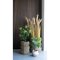 Figentr Knstliche Pflanze H60 cm grn.