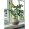 Figentr Knstliche Pflanze H60 cm grn.
