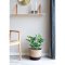 Figentr Knstliche Pflanze H60 cm grn.