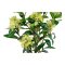 Tr kunstig plante H75 cm grn.