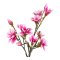 Magnoliatr Konstplanta Hjd 74 cm grn, rosa.