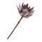Protea Buket kunstige blomster H74 cm rosa.