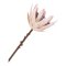 Protea Buket Knstliche Blumen H65 cm Bordeaux.