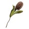 Protea Buket Knstliche Blumen H65 cm Bordeaux.