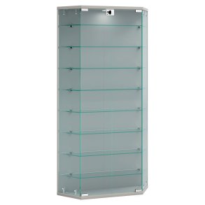 BenilaXL Vitrinenschrank wandhängend 2 Türen silberfarben.