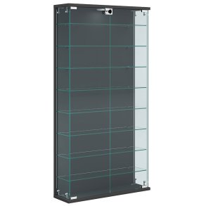 RelasL Vitrinenschrank wandhängend 2 Türen anthrazit.