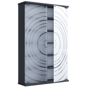 TilanoL Vitrinenschrank CD, DVD 6 Ablagen 2 Türen anthrazit.