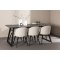 Malaga Essgruppe Esstisch 90x200cm dunkel grau und 6 Skagen Stuhl velour beige.