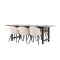 Oslo spisebordsst spisebord 100x220cm sort og 6 Skagen stole velour beige.