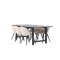 Oslo spisebordsst spisebord 100x220cm sort og 6 Skagen stole velour beige.