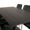 Dipp180x90BLBR spisebordsst spisebord sort og 6 Velvet Deluxe stole velour grn, messing dekor.