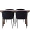 Andy spisebordss�t spisebord natur 4 stole velour sort.