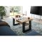 Seattle Couchtisch 90x50 cm 1 Regal Eiche Dekor.